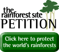 Go to The Rainforest Site