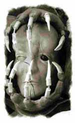 Photograph  Mike Tremblay