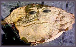 Jabba Face Skin