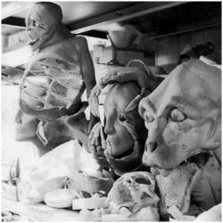 Photograph  Mike Tremblay